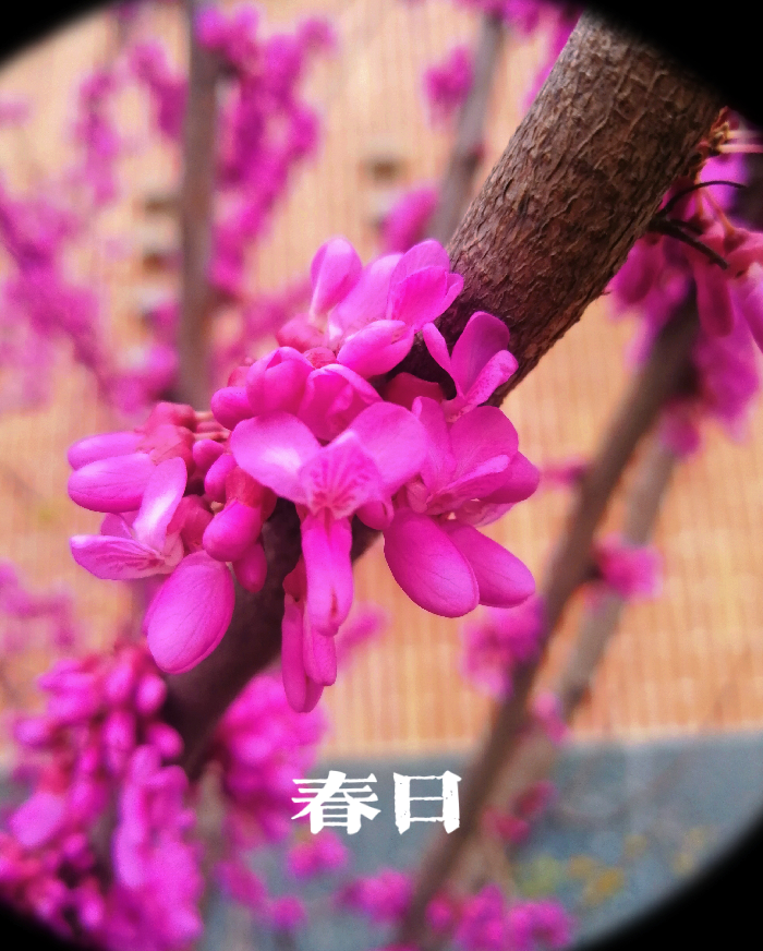 教務(wù)處：無奮斗不青春(圖2)