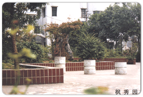 老校區(qū)風光(圖1)