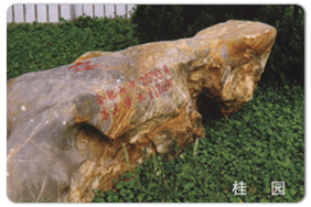 老校區(qū)風光(圖2)
