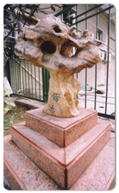 老校區(qū)風光(圖12)
