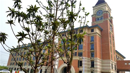 合肥七中高新校區(qū)樓宇、道路、景觀等命名名稱(圖7)