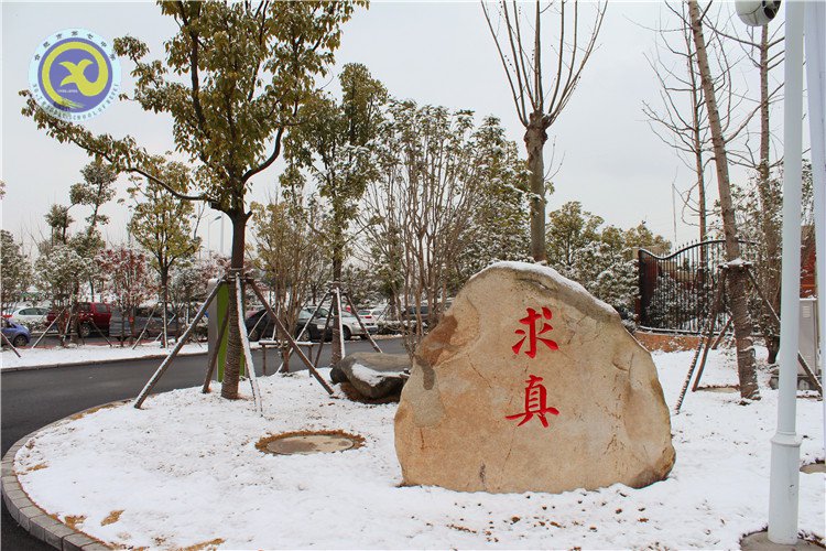 雪園“石頭記”，最美是氣質(zhì)(圖2)