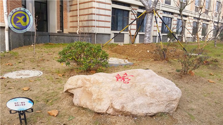 雪園“石頭記”，最美是氣質(zhì)(圖5)