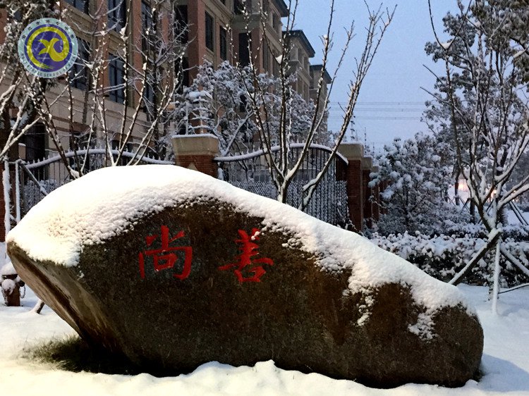 雪園“石頭記”，最美是氣質(zhì)(圖3)