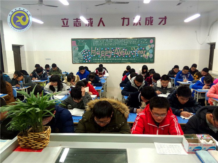 與時俱進抓創(chuàng)建 文明之花香滿園(圖13)