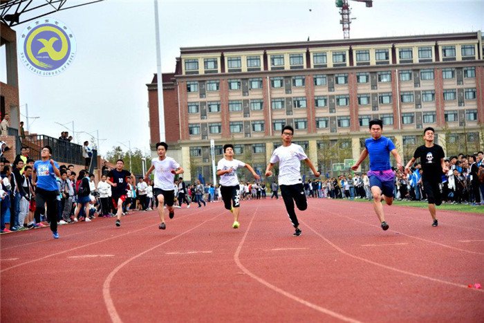 弘揚運動精神 彰顯青春風采(圖19)