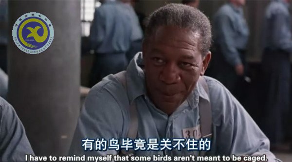 暢享視聽(tīng)之趣，延伸課堂之美(圖2)