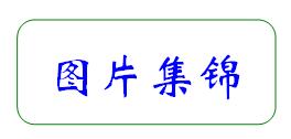 合肥市第七中學·農興中學合作共建 簡報(圖6)