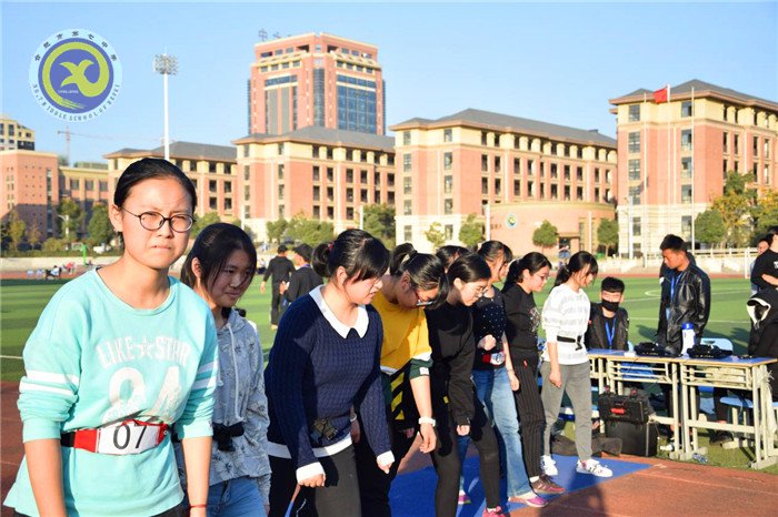 智能化體質(zhì)健康測試 精細化組織管理(圖5)