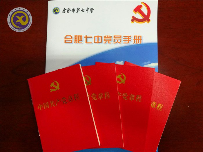 規(guī)范主題黨會(huì)，聚焦黨員發(fā)展(圖5)