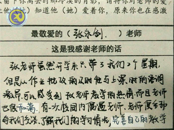最愛哪位老師？一定投TA票哦！(圖5)