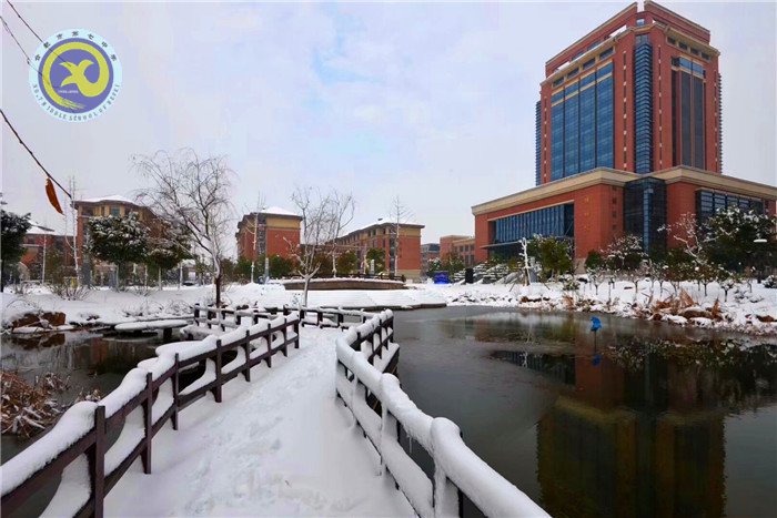梅雪盼冬來，微笑迎春歸(圖6)