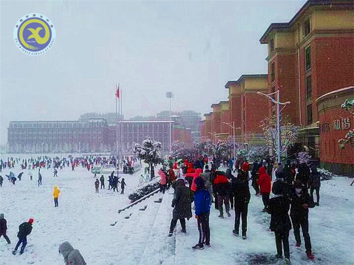 梅雪盼冬來，微笑迎春歸(圖7)