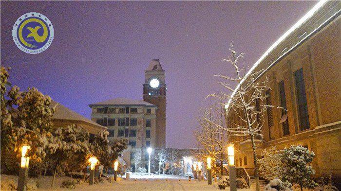 梅雪盼冬來，微笑迎春歸(圖12)
