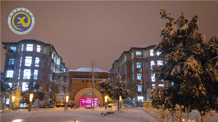 梅雪盼冬來，微笑迎春歸(圖13)