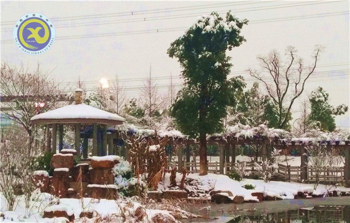 梅雪盼冬來，微笑迎春歸(圖8)