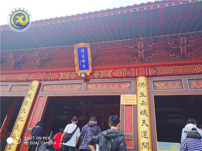 沐浴佛教文化，感受江南春景(圖5)