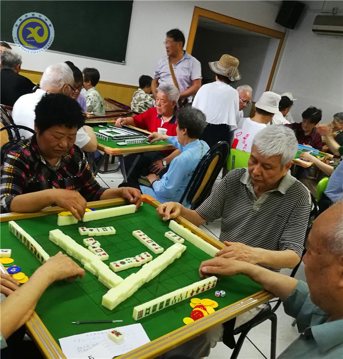 合肥七中在市麻將比賽中喜獲佳績(jī)(圖3)