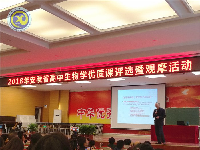 兼收并蓄拓視野，合作教研助成長(圖6)