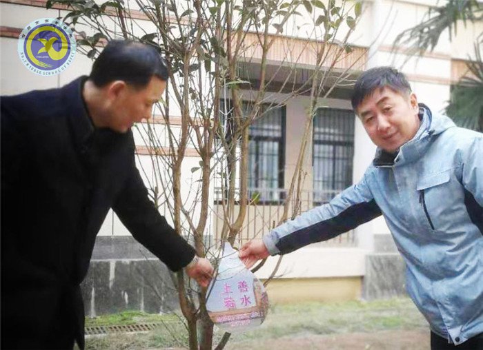 一棵兩棵三棵，棵棵皆成棟梁材(圖7)