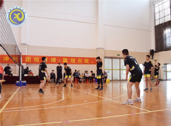 合肥七中在市排球比賽中獲得佳績(圖4)