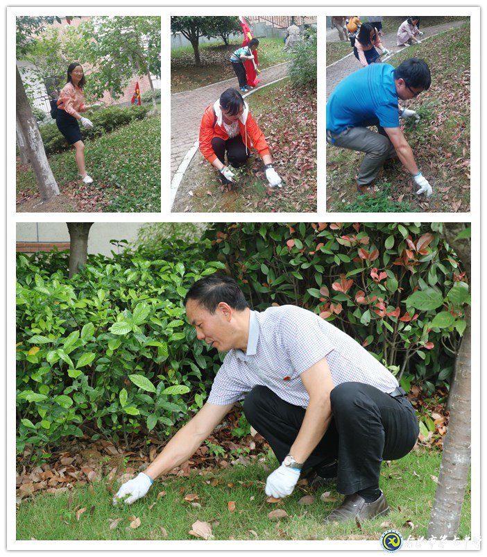 齊心除草整庭院  黨領我行再奮進(圖2)