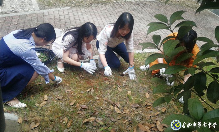 齊心除草整庭院  黨領我行再奮進(圖4)