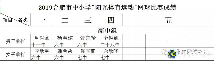 鏗鏘玫瑰，叱咤網(wǎng)壇(圖5)