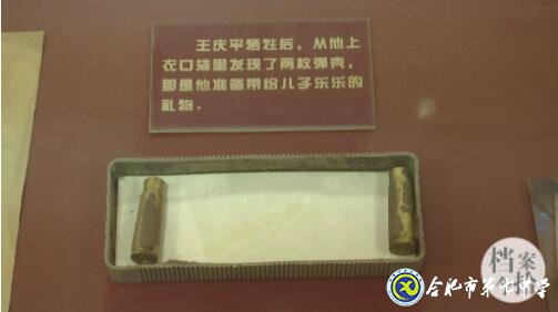 合肥教育法制頻道：愛在無(wú)私中永恒——追憶王慶平烈士(圖19)