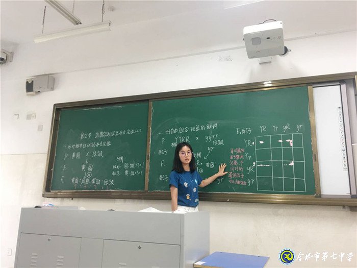 獨木不成林，集體有力量(圖4)