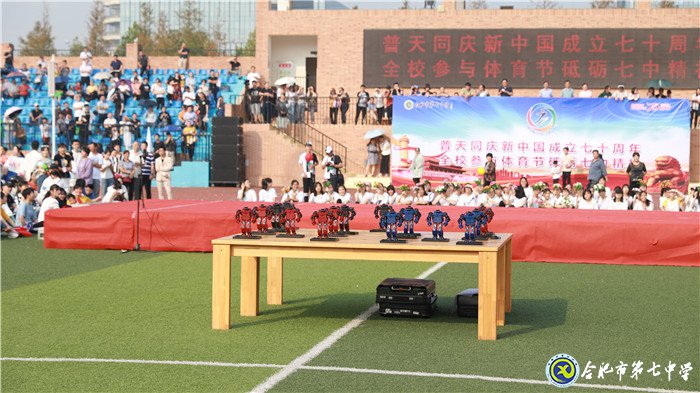 同慶新中國七十華誕 共展體育節(jié)運動風(fēng)采(圖16)