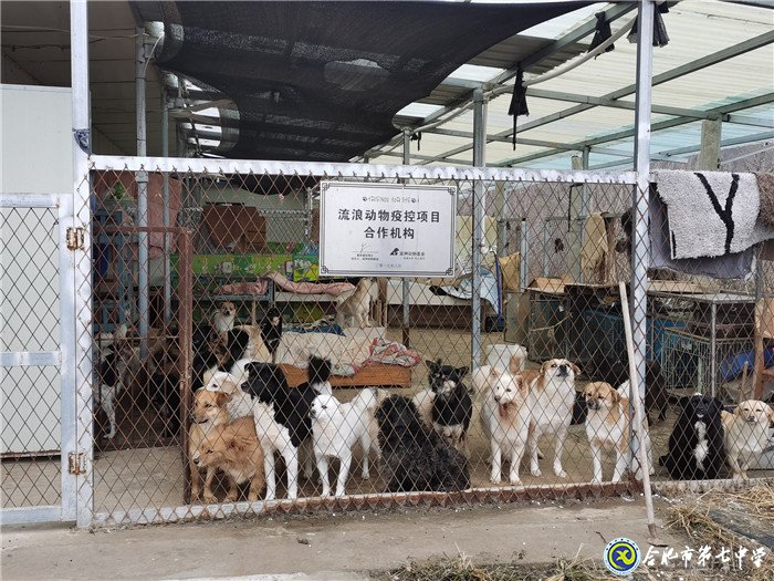 關愛生命，善待動物(圖3)
