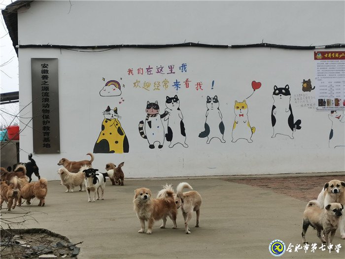 關愛生命，善待動物(圖2)
