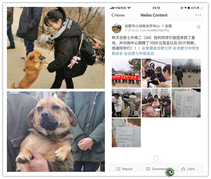 關愛生命，善待動物(圖4)