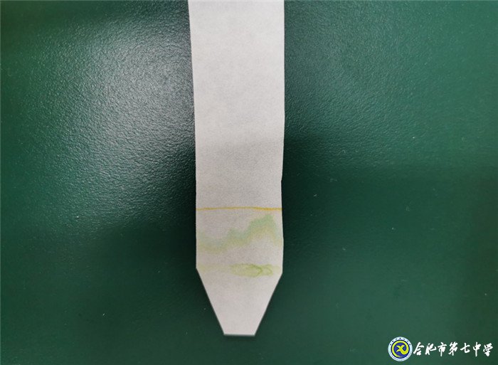 6月24日實習手記：暢游知識海洋 感悟實習生活(圖2)