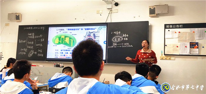 專家視導(dǎo)引方向，交流反思促提升(圖4)