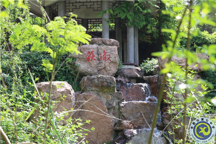 合肥七中、肥西農(nóng)興中學(xué)聯(lián)合倡議書(shū)(圖6)