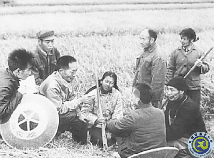 △早期研究階段，袁隆平（左三）在田間為農(nóng)民講課.png