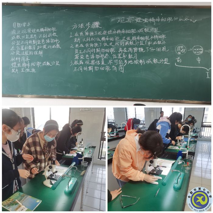 高一年級(jí)學(xué)生實(shí)驗(yàn)過(guò)程中.jpg