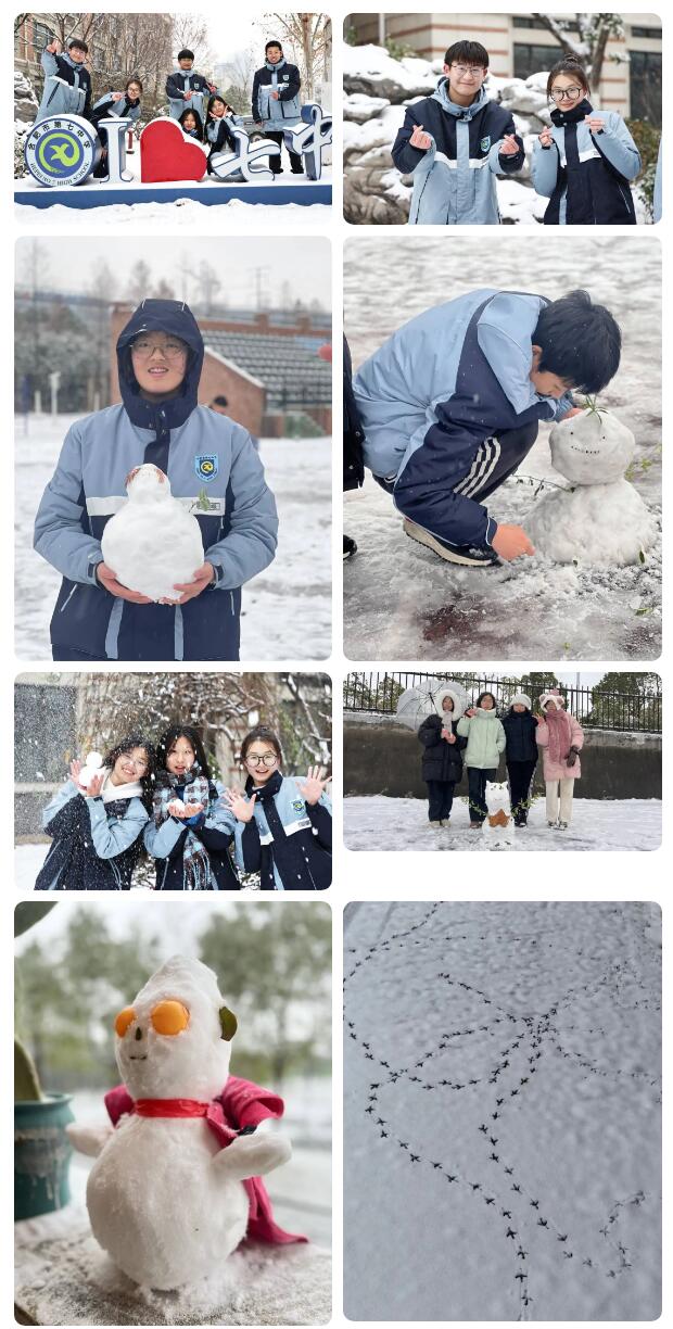 寶藏學(xué)校：每個(gè)人都期待，雪花所帶來(lái)的“活潑潑”的生命(圖9)