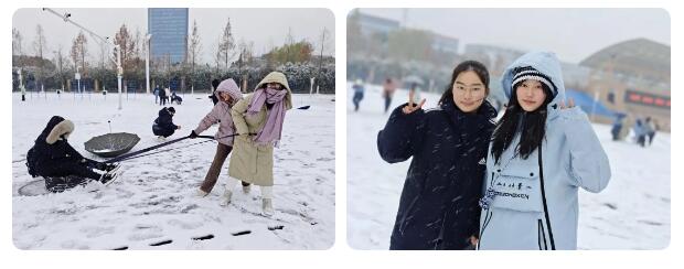 寶藏學(xué)校：每個(gè)人都期待，雪花所帶來(lái)的“活潑潑”的生命(圖10)