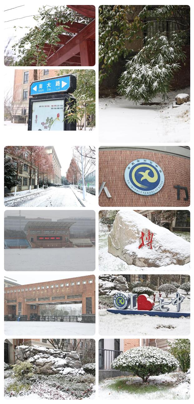 寶藏學(xué)校：每個(gè)人都期待，雪花所帶來(lái)的“活潑潑”的生命(圖5)