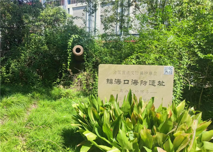 “主動(dòng)融入長(zhǎng)三角，合肥七中這樣做”之四：知己不足而后進(jìn)，望山遠(yuǎn)岐而前行(圖5)