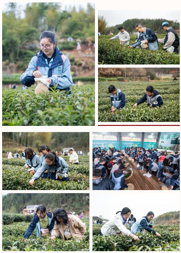 QQ截圖20250402101426.jpg