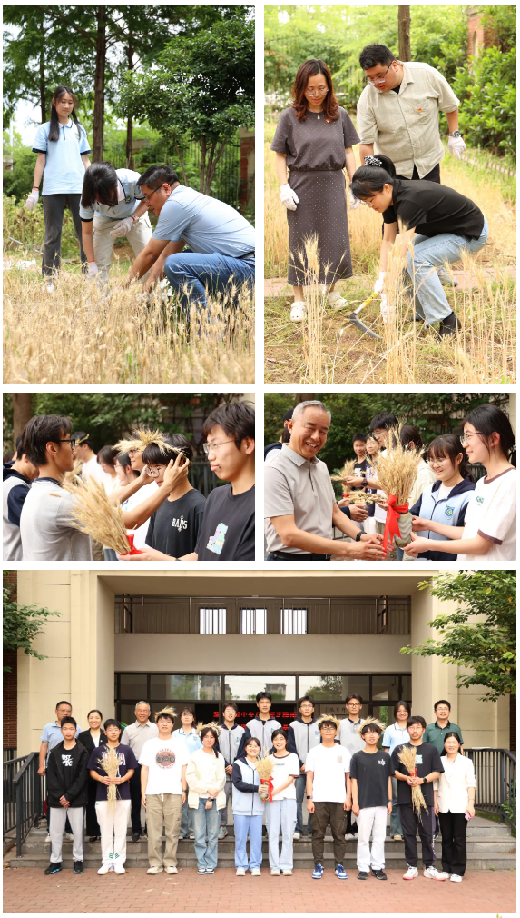QQ截圖20250519155834.png